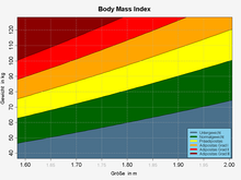 BMI-Kategorien - Quelle: Thomas Steiner, CC BY-SA 2.5 (http://de.wikipedia.org/w/index.php?title=Datei:BodyMassIndex.png&filetimestamp=20080606191957)