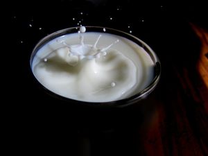 milk - Quelle: Andrew Magill, CC BY 2.0 (http://www.flickr.com/photos/amagill/)